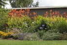 Orange Springsplants-31.jpg; ?>